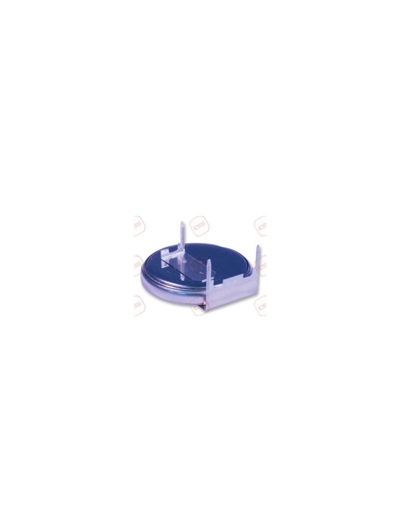 DataCold RTC Battery