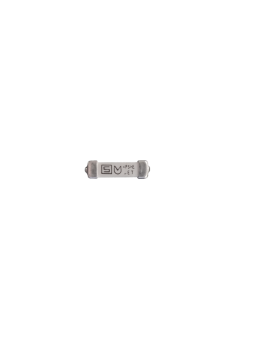 Xarios 12-00716 Fuse 1A (10-Pack)