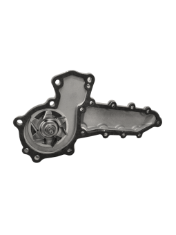 Vector 1800/1850/1950-type Water Pump